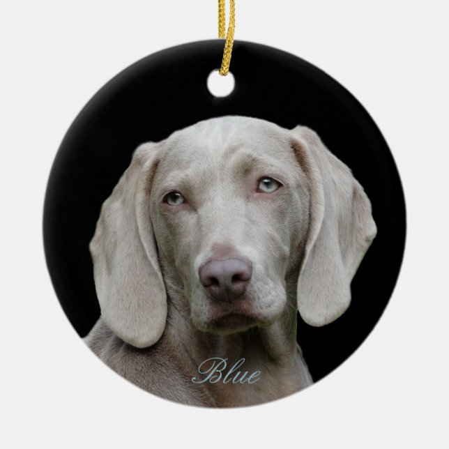 Adorno De Cerámica Foto personalizada con Weimaraner observado azul (Frente)