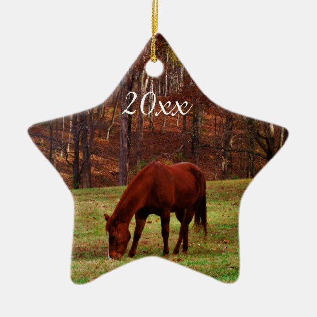 Adorno De Cerámica Foto personalizada de mascota o caballo Año Navida (Frente)