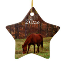 Foto personalizada de Navidad de mascota o caballo