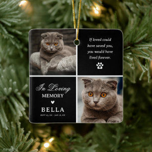 Adorno De Cerámica Foto personalizada de recuerdo de gato moderno