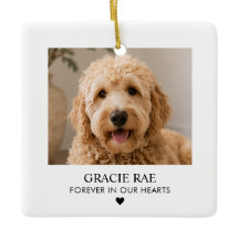 Foto personalizada memorial de mascota simple mode