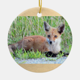 Adorno De Cerámica Foto roja del Fox de equipo