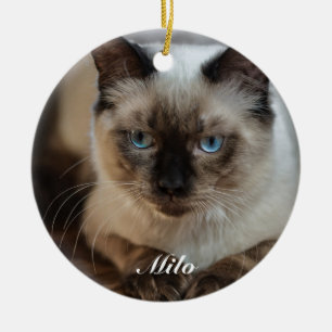 Adorno De Cerámica Foto y nombre personalizados de Ragdoll Cat