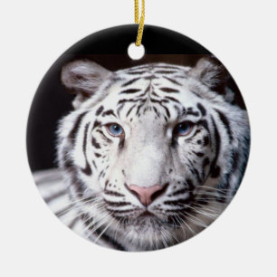 Adorno De Cerámica Fotografía blanca del tigre de Bengala