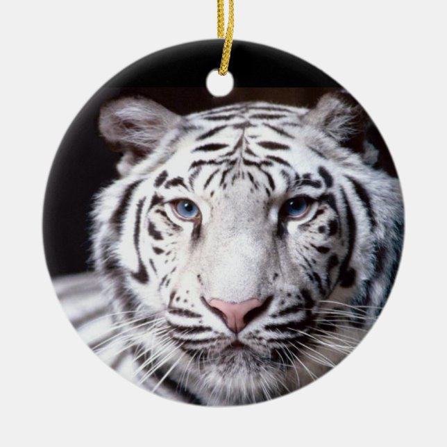 Adorno De Cerámica Fotografía blanca del tigre de Bengala (Frente)