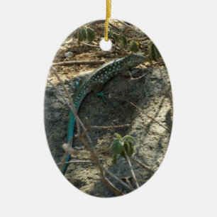 Adorno De Cerámica Fotografía de animales tropicales del lagarto cola