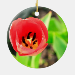 Adorno De Cerámica Fotografía de Flor de Tulipán Rojo