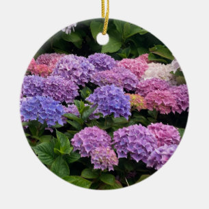 Adorno De Cerámica Fotografía de Hortensia