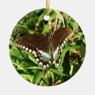 Adorno De Cerámica Fotografía de la Naturaleza de la Mariposa Cola de