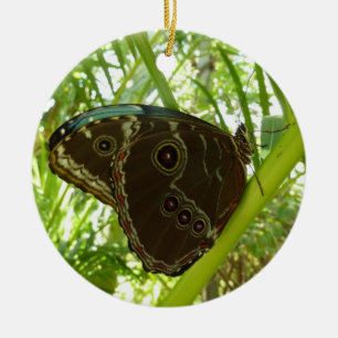 Adorno De Cerámica Fotografía de la naturaleza de la mariposa Morpho 
