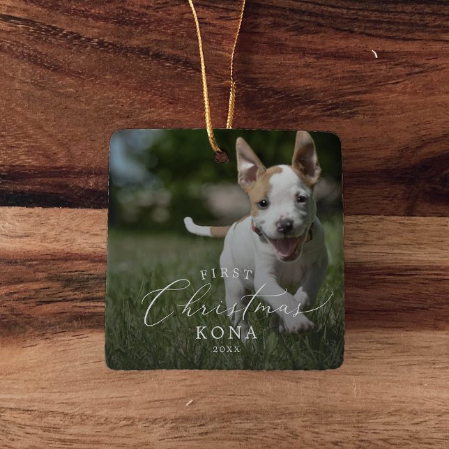 Adorno De Cerámica Fotografía de primera superposición de perro de Na (Subido por el creador)