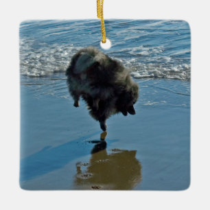 Adorno De Cerámica Fotografía del Ballet Keeshond - Arte de Perro Ori