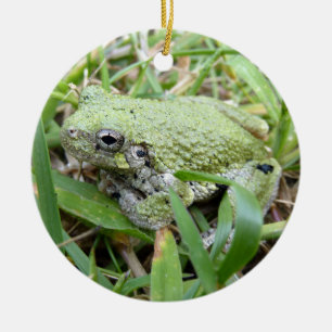 Adorno De Cerámica Fotografía natural del Treefrog Gris Oriental