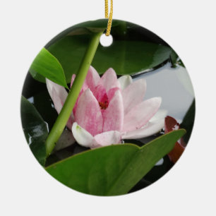 Adorno De Cerámica Fotografía rosa de las flores de Lotus en blanco