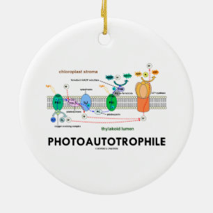 Adorno De Cerámica Fotosíntesis de Photoautotrophile