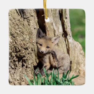 Adorno De Cerámica Fox Kit en el Valle de Hudson