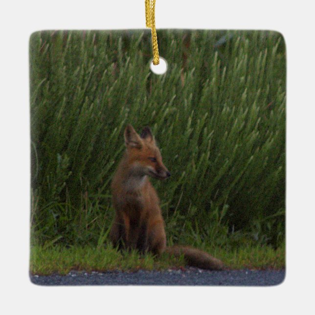 Adorno De Cerámica Fox Photo Ornament  (Anverso)