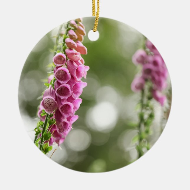 Adorno De Cerámica Foxglove Blossom Nature Photo (Frente)