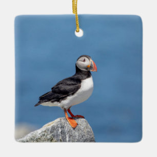 Adorno De Cerámica Frailecillo atlántico en Machias, Maine