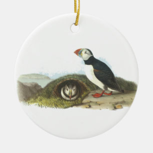 Adorno De Cerámica Frailecillo atlántico, Juan Audubon