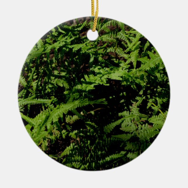 Adorno De Cerámica Frenos de suelo forestal verde botánico (Frente)