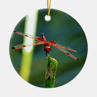 Adorno De Cerámica Frontal Red and Black Dragonfly