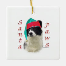 Frontera Collie Santa Paws