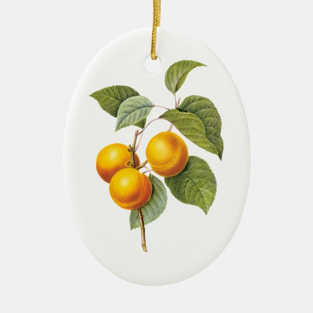 Adorno De Cerámica Fruta de la comida de la cosecha, Apricot Peach by (Frente)