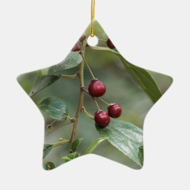 Adorno De Cerámica Frutas de un espino cerval brillante de la hoja (Frente)