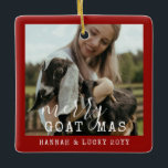 Adorno De Cerámica Funny Goat Mascotas Navidades de foto de la granja<br><div class="desc">Ornamento fotográfico personalizado con una foto de su propia cabra mascota o cabra de granja y "Merry GOATMas" con texto de nombre y con fecha de año abajo con un fondo rojo.</div>