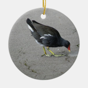 Adorno De Cerámica Funny Moorhen se toma un cumpleaños Personalizado 