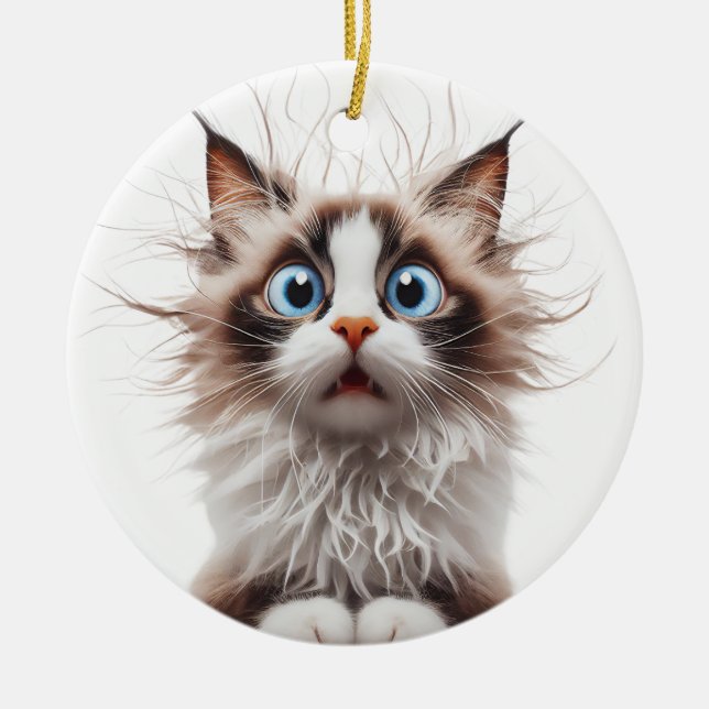 ADORNO DE CERÁMICA FUNNY RAGDOLL CAT SORPRENDIDO (Frente)