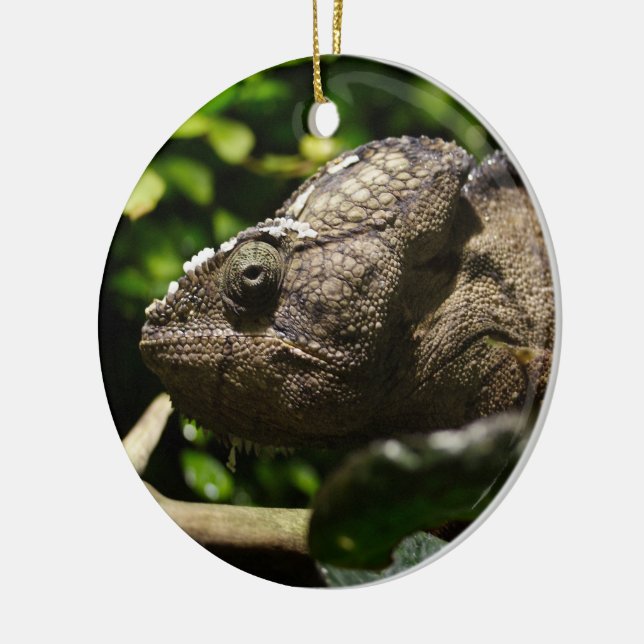 Adorno De Cerámica Furcifer oustaleti (Izquierda)