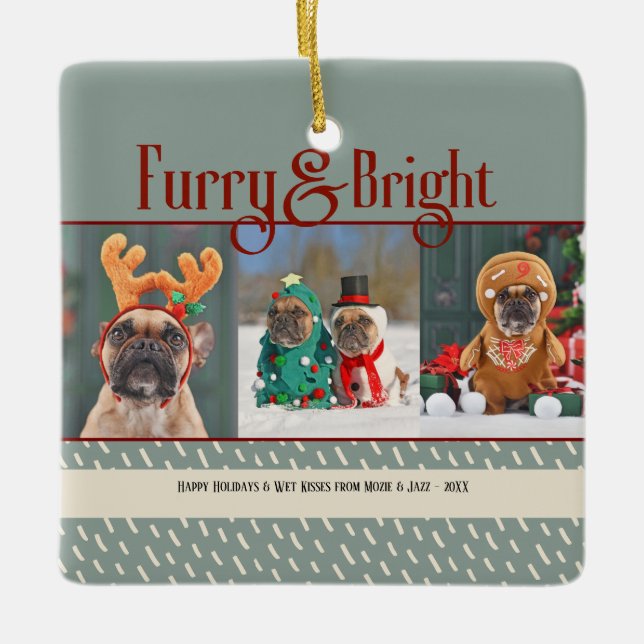 Adorno De Cerámica Furry & Bright Dog Christmas Photo Holiday (Anverso)