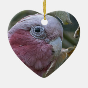 Adorno De Cerámica Galah o Cacatúa de pecho rosado