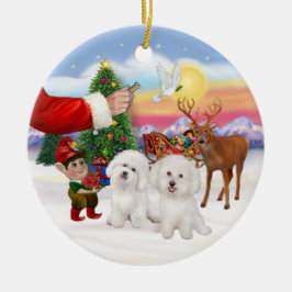 Adorno De Cerámica Galletas para dos Bichon Frise