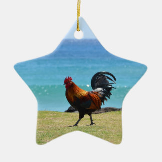 Adorno De Cerámica Gallo de Kauai