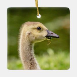 Adorno De Cerámica Ganso Canadiense (Gosling)