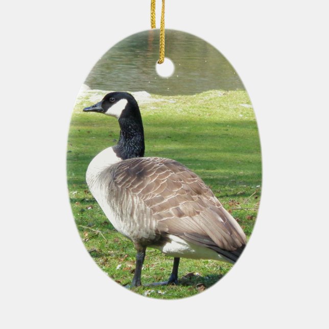 Adorno De Cerámica Ganso frente al mar, animales salvajes, naturaleza (Atrás)