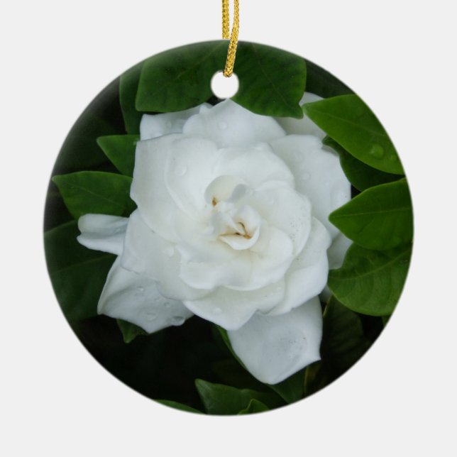 Adorno De Cerámica Gardenia Ornament (Frente)