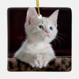 Adorno De Cerámica Gatito blanco vulnerable