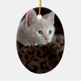 Adorno De Cerámica Gatito crema con hermosos ojos azules