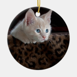 Adorno De Cerámica Gatito crema con hermosos ojos azules