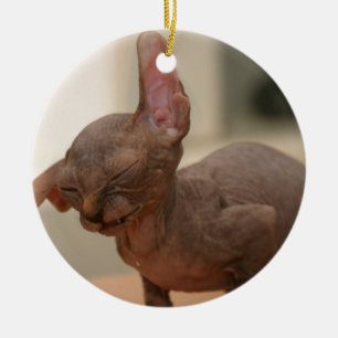 Adorno De Cerámica Gatito de estornudo divertido del sphynx