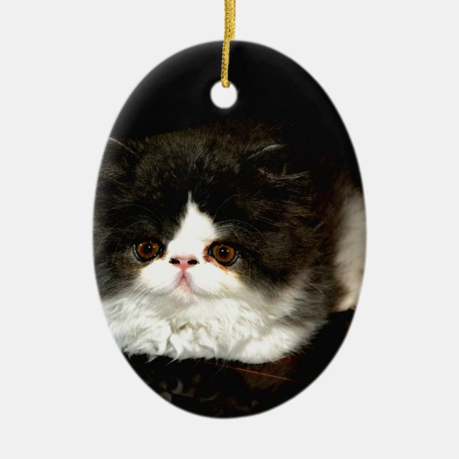 Adorno De Cerámica Gatito de gatito blanco y negro (Frente)