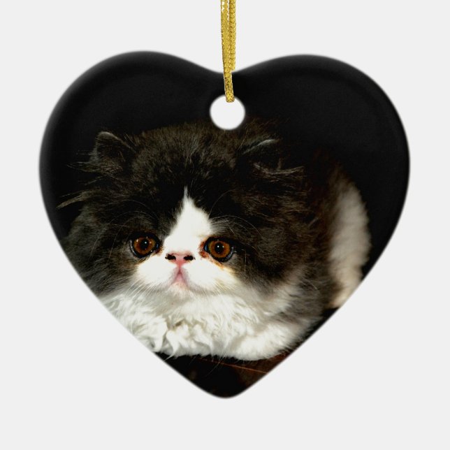 Adorno De Cerámica Gatito de gatito blanco y negro (Frente)