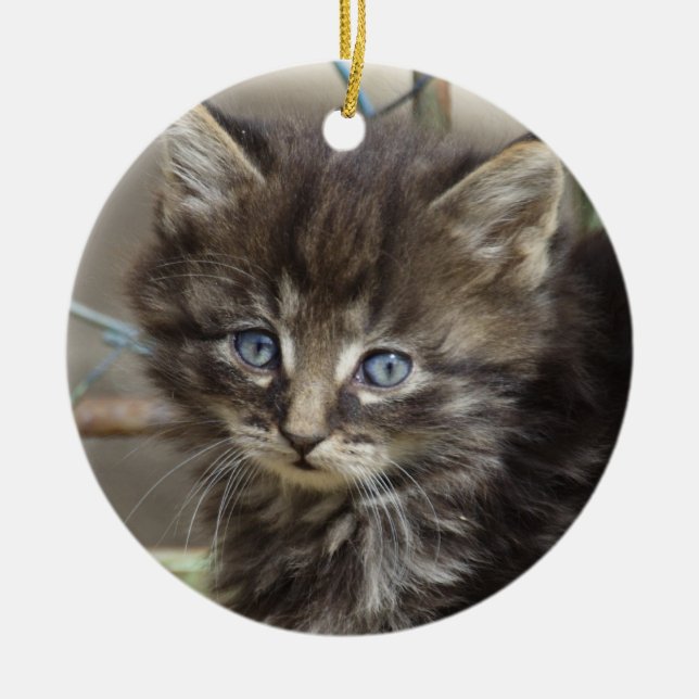 Adorno De Cerámica Gatito de tigre y gato (Frente)