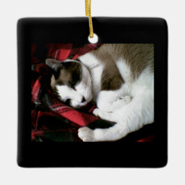 Adorno De Cerámica gatito del tartán de la raqueta