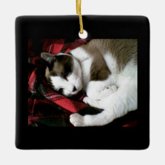 Adorno De Cerámica gatito del tartán de la raqueta