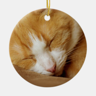 Adorno De Cerámica Gatito durmiente